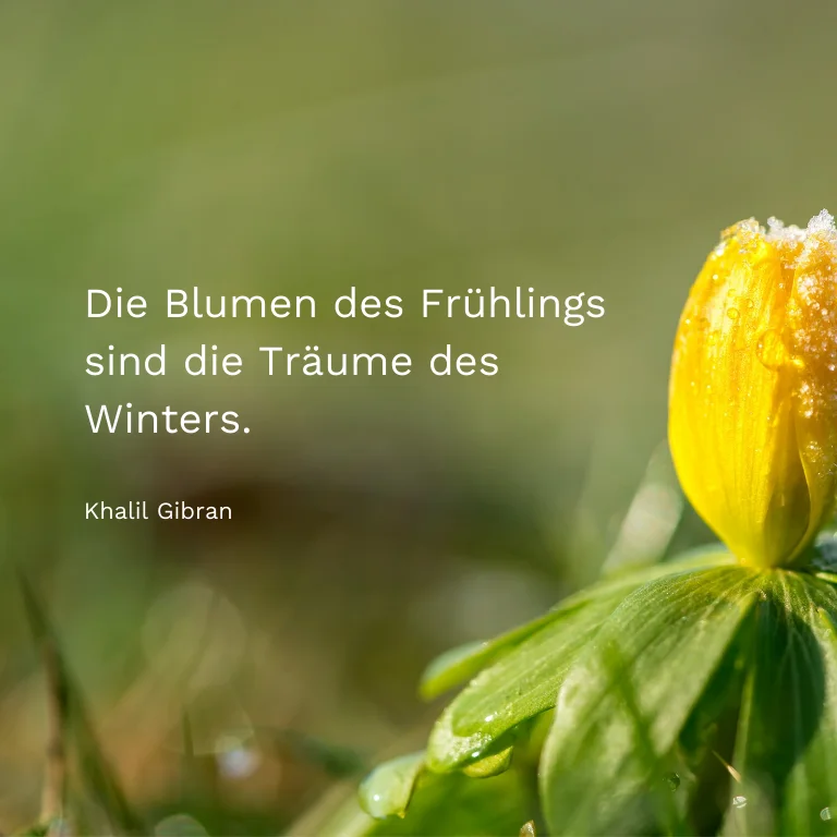 Spruchkarte: Die Blumen des Frühlings sind die Träume des Winters