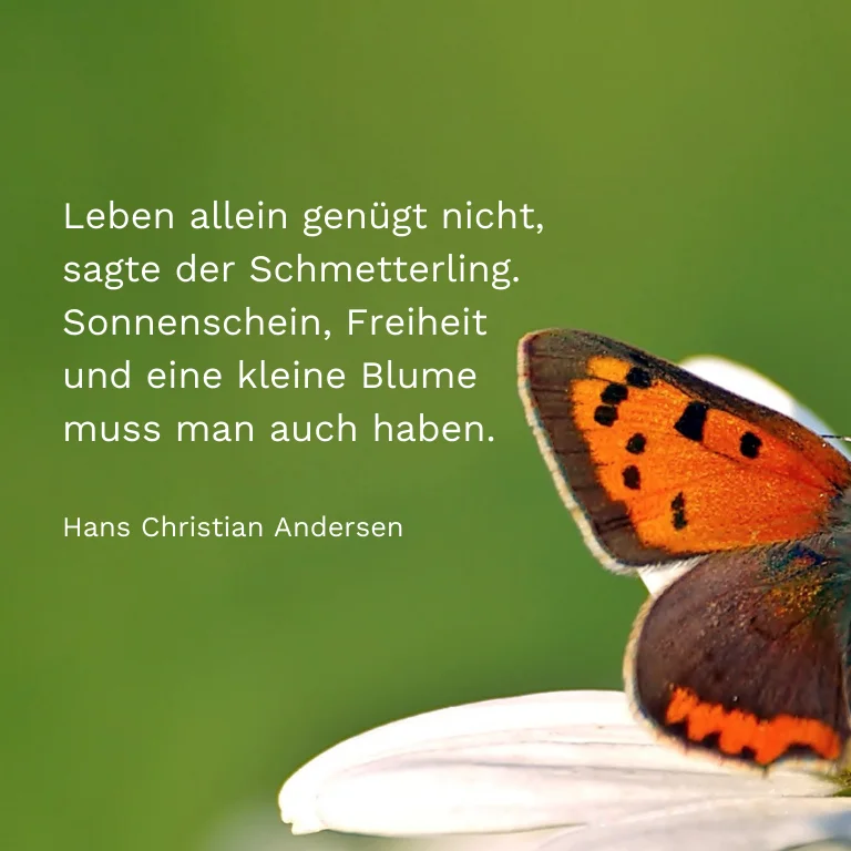 Spruchkarte: Leben allein genügt nicht, sagte der Schmetterling. Sonnenschein, Freiheit und eine kleine Blume muss man auch haben. Hans Christian Andersen