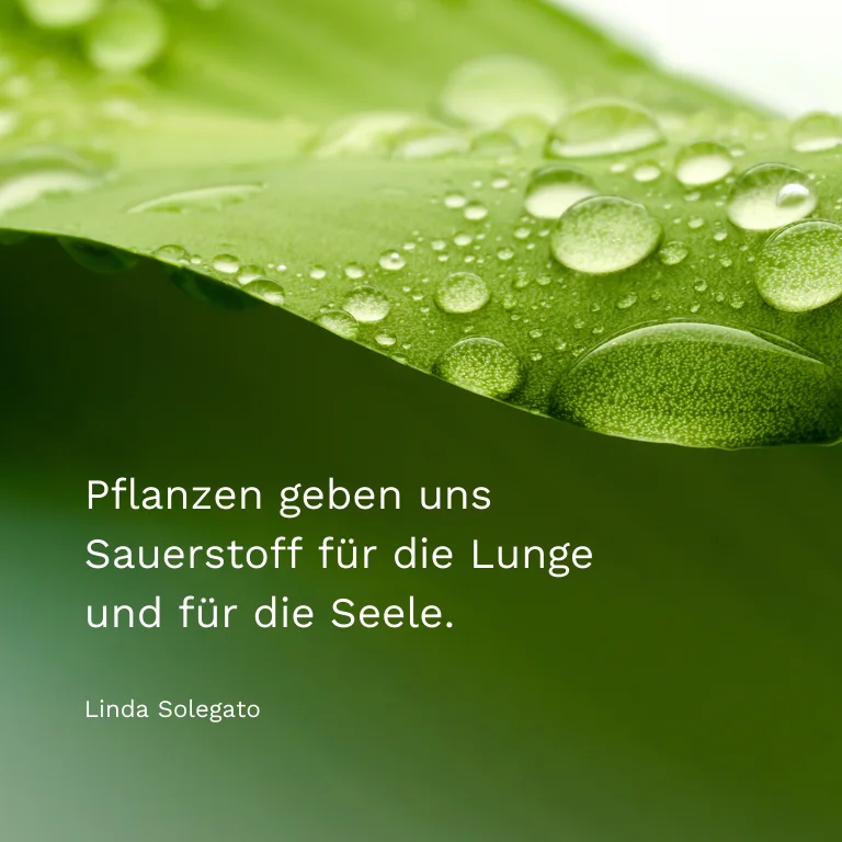 Spruchkarte: Pflanzen geben uns Sauerstoff für die Lunge und für die Seele