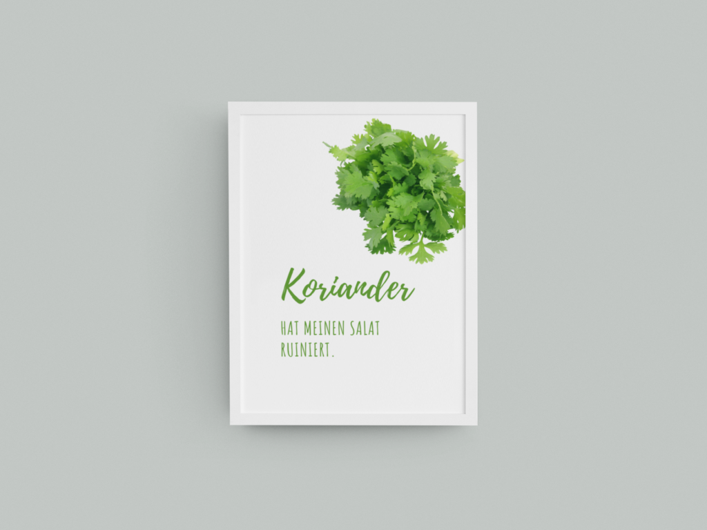 Koriander hat meinen Salat ruiniert. Koriander Kräuter Küchenposter